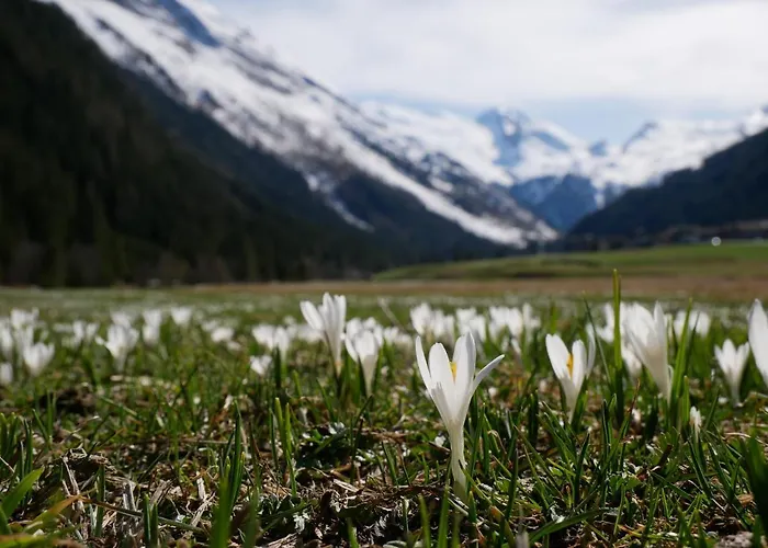 Haus Tanneck 图克斯